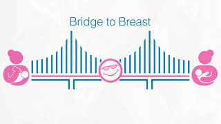 Bridge to Breast [upl. by Seugram791]