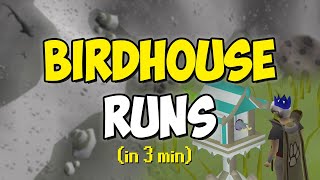 Birdhouse Runs in 3 minutes Quick Guide [upl. by Perle792]