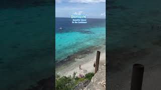 Bonaire caribbean carnivalcruise travel shortsvideo beach shorts adventure vacation [upl. by Latouche]