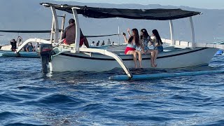 DOLPHIN WATCHING LOVINA Bali [upl. by Esinaj]