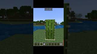 2f Double E Gamer  maainc minecraft foryou games trollface shorts [upl. by Lauritz131]