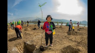 EN HOMENAJE AL DÍA DEL ÁRBOL SE REALIZA LA FORESTACIÓN DE LA LAGUNA ALALAY Y LA OTB SAN JUAN BOSCO [upl. by Enogitna]