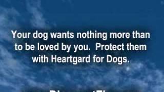 Heartgard for Dogs [upl. by Genna]