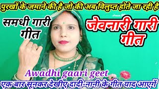 जनकपुर में समधी के गारी गीत  vivah gari geet  समधी के गारी गीत  pinkibiharilokgeet [upl. by Dagna971]