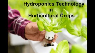 Hydroponics Technology in Horticultural Crops [upl. by Nataniel]