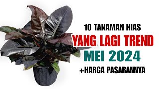 10 Tanaman Hias Yang Lagi TREND di bulan MEI 2024 [upl. by Yvan]