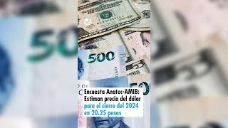 Encuesta AnatecAMIB Estiman precio del dólar para el cierre del 2024 en 2025 peso [upl. by Golda739]