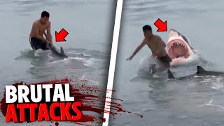 The Most BRUTAL Shark Attacks MARATHON [upl. by Hillell]