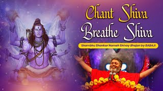 Chant Shiva Breathe Shiva  Shambhu Shankar Namah Shivay Bhajan  By BABAJI [upl. by Yarb]