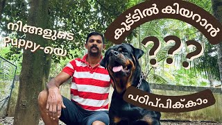 നിങ്ങളുടെ puppyയെ ‘ IN COMMAND ‘ പഠിപ്പിക്കാം  PART 1  KAYROSE KENNEL [upl. by Teahan863]