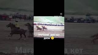 Сары озонampЫнтымак💔 kyrgyzstan horse rek [upl. by Jollenta588]