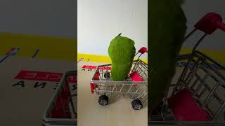 Bird Training  Smart lovebird Parrot  Smart Little Cute Parrot training smartparrot cute [upl. by Haleehs305]