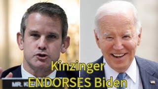 Adam Kinzinger ENDORSES Biden for president [upl. by Eillat651]