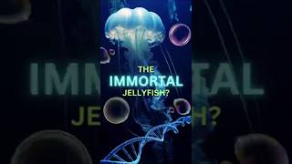 IS This Jellyfish REALLY IMMORTAL [upl. by Aiyotal480]