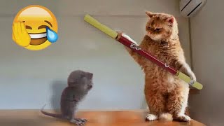 😘 Funniest Cats and Dogs 😸😹 Funny Videos Every Days 😸 [upl. by Susi92]