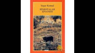 Yaşar kemal🌺Binboğalar efsanesi🌺 PART 11 roman seslikitap yaşarkemal чтение [upl. by Teressa]