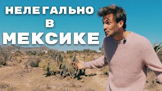 ВЫГОНЯЮТ ИЗ СТРАНЫ  ИЩУ ЖЕНУ МЕКСИКАНКУ [upl. by Scotney286]