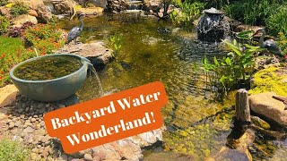 Pond Pondless Waterfall Spillway Urn Rockscape We Turned this Yard into a Water Wonderland P2 [upl. by Nylakcaj]