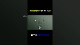 5 Multiphonic Sounds multiphonics flute flutetutorial music fluteplayer [upl. by Arley]