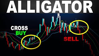 The Good way to use Williams Alligator Indicator   Forex Day Trading [upl. by Melessa]