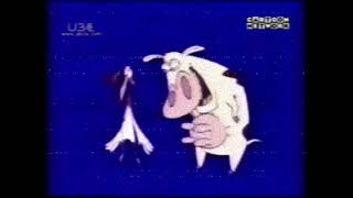 to boomid5611 FIXED Cartoon Network Asia  Cow amp Chicken WBRB Bumper Flyingquot 2001 THAI [upl. by Artima557]