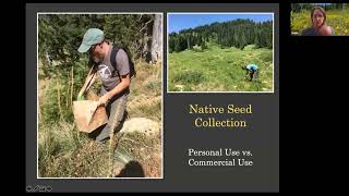 Propagating Native Plants from Seeds 20231109 [upl. by Niro473]