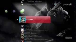 Black Ops 2 PS3 Dynamic Theme With Link [upl. by Leahcimnaj]