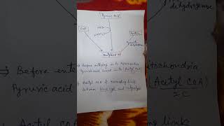 Acetyl CoA formation [upl. by Roede]