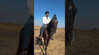 Horse riding 🏇 in Panchgani shorts travel punediaries punetraveler trip punetourism nature [upl. by Mendelson]