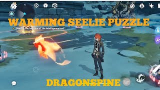 Dragonspine Warming Seelie Puzzle [upl. by Ennayehc687]