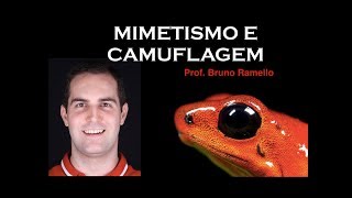 Mimetismo e Camuflagem  Ecologia e Evolução [upl. by Nohshan]