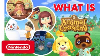 What Is Animal Crossing New Horizons A Guide for the Uninitiated [upl. by Afira]