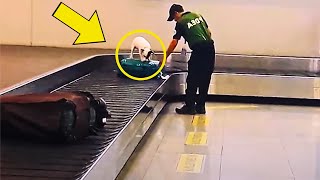 Dog Continued To Bark at a Suitcase What Actually Was There in the Suitcase that Shocked Everyone [upl. by Idnek90]