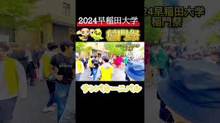 2024早稲田大学「稲門祭」サンバ✨ [upl. by Aenotna454]