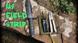 M9 Bayonet Detailed Breakdown [upl. by Lehcar]