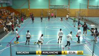 2023 NSWDL Bronze Mixed Div 1 Arcadia Assassins vs Alpine Avalanche [upl. by Ik]