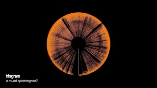 Sound Visualization  Irisgram Spectrogram P5JS [upl. by Eyeleen599]