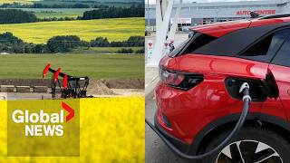 China hits Canada with antidumping canola probe after EV tariffs [upl. by Nnaecyoj]