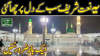 New Best Naat Sharif 2024 Wo Soye Lala Zar Phirte Hain by Syed Adeel Qadri [upl. by Naugan]