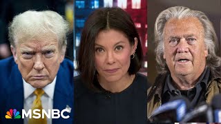 How did this happen Alex Wagner examines the MAGA themes that drew voters to Trump [upl. by Uri]