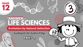 GR 12 EVOLUTION BY NATURAL SELECTION – Evidence PART 1 3 [upl. by Ardnatal]