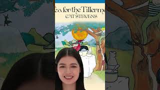 CAT STEVENS  TEA FOR THE TILLERMAN [upl. by Mackenie]