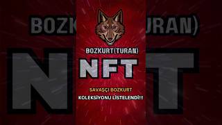 httpsmarketplacemintablecomcollectionssavascibozkurt BozkurtTuranToken TURAN NFT [upl. by Aracat]