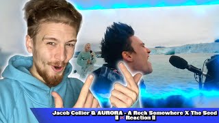 This Just Make Feel At Awe  Jacob Collier amp AURORA  A Rock Somewhere X The Seed  Reaction [upl. by Nayr]