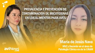 Prevalencia y prevención de contaminación de micotoxinas en los alimentos para aves [upl. by Waki]