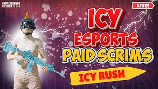 ICY RUSH X 7 STAR ESPORTS Paid ScrimsT1T2 Lobby Daily Scrims 🤩 [upl. by Tav749]