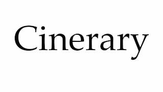 How to Pronounce Cinerary [upl. by Adias]