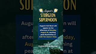 Augusts FULL STURGEON SUPERMOON [upl. by Ailekat]