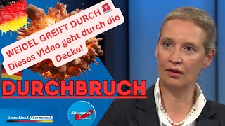 Weidel greift durch  Dieses Video geht durch die Decke [upl. by Sukcirdor]