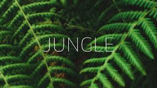 Noah Werker  Jungle Audio [upl. by Marquez631]